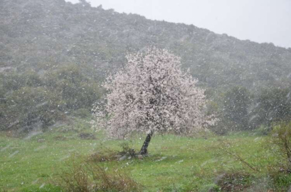 Kuşadası'na kar yağdı