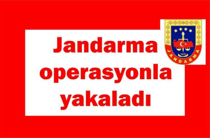 Jandarma yakaladı