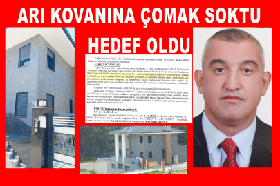 Arı kovanına çomak soktu, hedef oldu