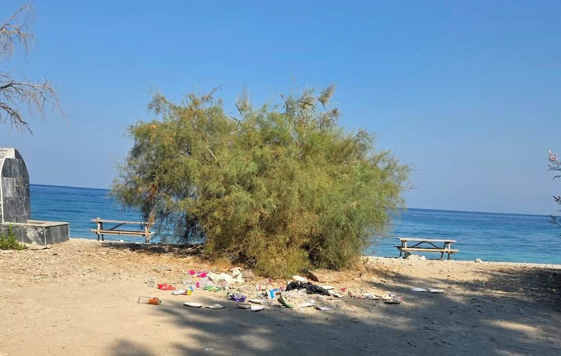 Milli Park işletmecisi temizlikte sınıfta kaldı, şikayetlerde işe yaramadı